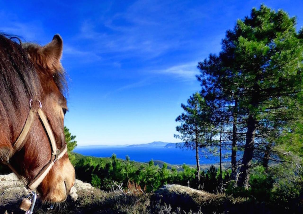 Arxontiko Mytilineou - Skretaion Bed & Breakfast Neochori  Dış mekan fotoğraf